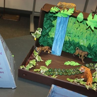 tsa_ScienceProject_82