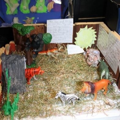 tsa_ScienceProject_86