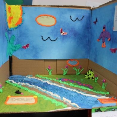 tsa_ScienceProject_88