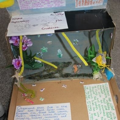 tsa_ScienceProject_94
