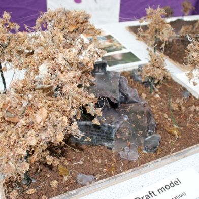 tsa_ArtShow_19